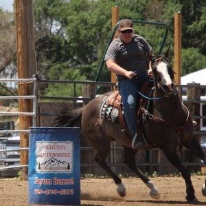 Meet your Posher, Bobbie